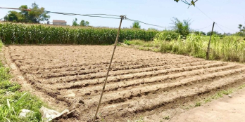 Mảnh vườn BHK 248m2 TỊNH AN cần bán cho ace khách iu dấu