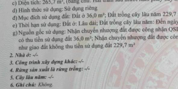 * Ấp tân trung B, xã tân hưng, tân châu