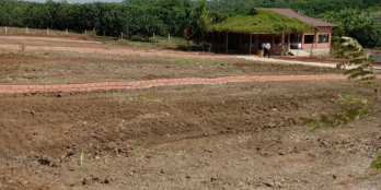 Bán đất 490tr sở hữu ngay 1 lô ngay mặt tiền trần phú