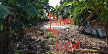 Cần sang lại 2 nền trong tuyến dân cư Tân Mỹ - Thanh Bình - Đồng Tháp.