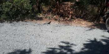 Bán nền vị trí đẹpTỉnh Đồng Tháp