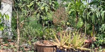 BÁN ĐẤT TT MỸ AN HUYỆN THÁP MƯỜI