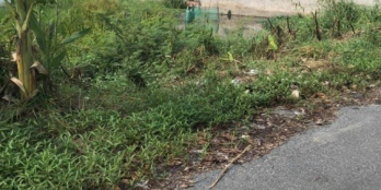 Bán nền thị trấn mỹ an tháp mười đt dt 4.5×16