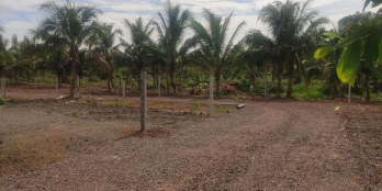 3000m2 2mt đất Hưng Lộc giá đầu tư