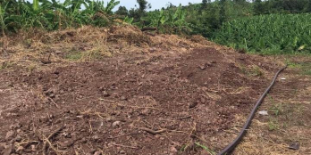 Cần bán 3 sào   Vị trí : xã gia tân 3 , thống nhất đồng Nai