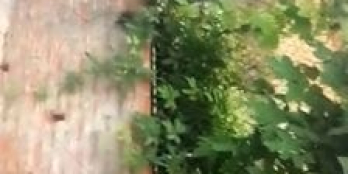 Lô đất cần bán có diện tích 155m2 - 36tr/m2