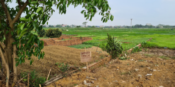 Bán mảnh đất tại đầm mà sen A đường nhựa lớn Dài rộng 5m dài 31m