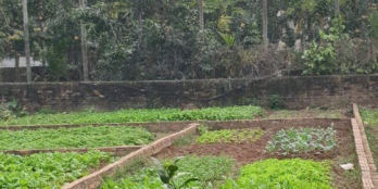 Bán đất tại Hưng Yên - Hưng YênGiá: Thỏa thuận Diện tích