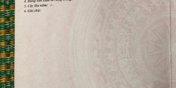 - Bán lô góc đẹp như hình hẻm 194 Hoàng Văn Thụ, đường ô tô thông các hướng đẹp