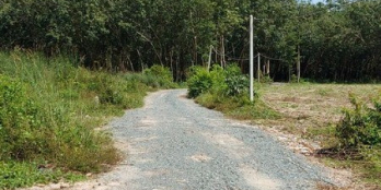 Đất đẹp giá đầu tư hiện hơn 10 lô