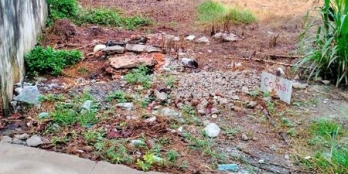 Bán Đất Hẻm Cách Đường Trần Văn Trà 50m