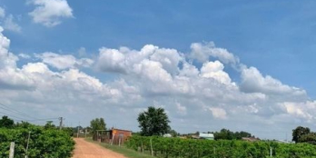 Chủ cắt bán 22x58m Thạnh Lợi, Thạnh Tân    22x58m