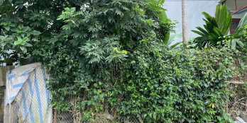 Lô đất bằng phẳng đẹp mặt tiền