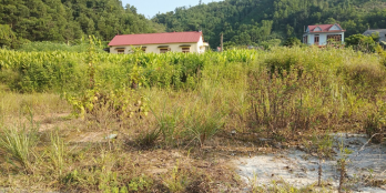 Lô đất nằm trên tuyến đường được quy hoạch vào khu công nghiệp với mặt đường rộn