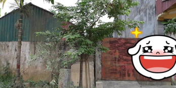 Lô đất với giá rẻ liên hệ ngay cho chính chủ để có ngay lô đất đẹp