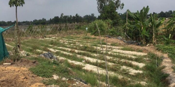 Cần bán lô đất Diện tích thổ cư là 300m2 (đã xây nhà). Còn lại là đất rừng