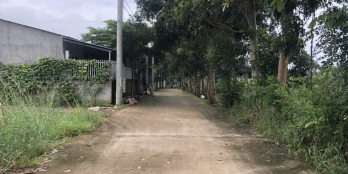 Cần tiền chủ bán gấp trong tết  1tyxxx   20*50