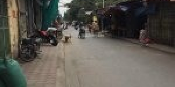 Bán đất Mỹ Đình 54m2, mặt ngõ chợ kinh doanh sầm uất lô góc giá 7.5 tỷ