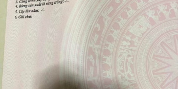 Bà chị con ông chú gần nhà bà con của thèn bạn. Nhờ bán lô Nghĩa Thuận gấp lam