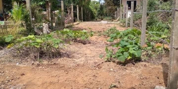 Nghĩa kỳ gần chợ Dt 4.2x67 2 mặt giá rẻ khu vực cho ai mua sớm