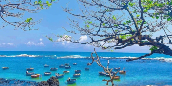 Cần ra nhanh lô đất gần chợ  Nghĩa Kỳ mới mẻ