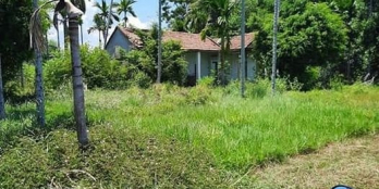 Nhận hàng chính chủ  bán mảnh vườn 5000m2 có 1200m2 thổ cư bán liền đầu năm