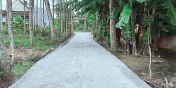 Can Bán vườn nghĩa kỳ Dt 700m2 có 100m2 đất ở đất to giá rẻ chỉ có ở đây