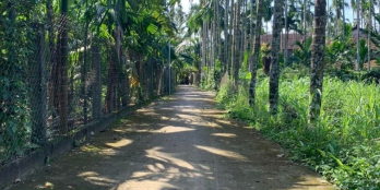 Nghĩa Trung cách đường chính 100m có lô đất bán luôn đầu năm lấy lộc