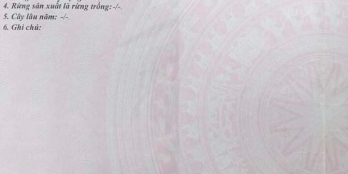 Bán lô An Hà 1 đẹp , Dt như sổ vị trí gần cây xăng giá tiền thì nhẹ luôn