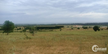 Bán gấp đất view biển, view điện gió sắn sổ