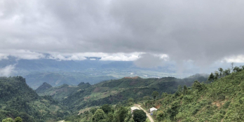 Đất sổ đỏ chính chủ, đặc biệt diện tích thổ cư 200m2/300m2 đất sổ duy nhất