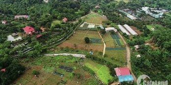 Lô đất vàng khu chợ đá chính chủ cần bán thích hợp đầu tư sinh lời