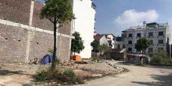 Với vị trí Vàng trong làng hoa truyền thống. nằm trên trục đê