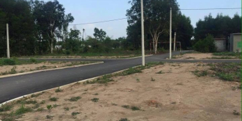 Bán đất Lạc Đạo, DT 67m2, Đất đẹp, cách đường trục liên huyện chỉ 100m