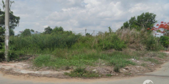 Đường rộng 50m, 2 lane, đường 1 chiều tiện kinh doanh buôn bán