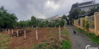 Đất đẹp, 61m2, mặt tiền 4, đường rộng ô tô 4 chỗ vào tận nhà khu đông dân cư,