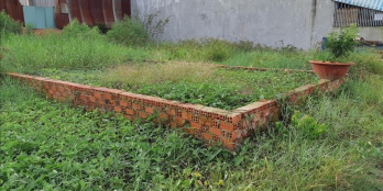 Chính chỉ cần bán lô đất có diện tích 150m2 chỉ với giá cực sốc 2,3tr/m2