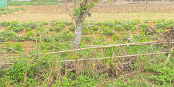 Bán lô đất đẹp 108m2 ở nghi phong - Vị trí gần đường 72