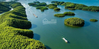 Cần bán lô đất cho nhà đầu tư Thích hợp làm nhà ở lâu dài, làm homestay