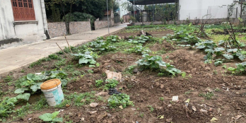 Lô đất đẹp chính chủ cần bán với diện tích 205m2 chỉ có giá cực sốc 9,8tr/m2