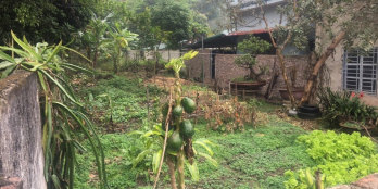 Cần bán đất ở có sổ đỏ, có trên 12m bám QL2 Tuyên Quang