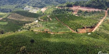 Cần bán gấp gần 1ha đất Hồ Đảo Ngọc Lộc Tân Bảo Lâm, 650tr/sào