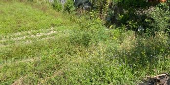 NỀN_GIÁ_RẺ ️DT: 7,5x23 (hậu 6,5m) có 100m thổ cư