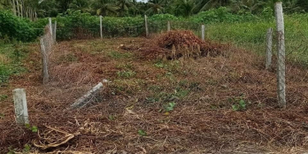 Bán nền thổ cư 100% Dt 6x16. Đất vườn.