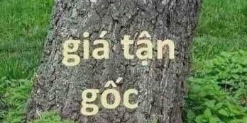 SIÊU PHẨM 2 MẶT TIỀN ĐƯỜNG 908 DT 6 x 46 có 87m² thổ cư còn lại đất CLN