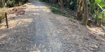 cần bán 3,5 công đất lúa thuộc kinh mười thới xã Tân Thành