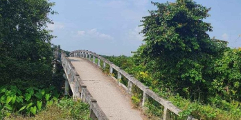 Bán miếng ruộng tổng diện tích 11000m²