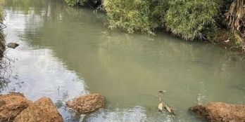 Lô viu siêu đẹp xung quanh toàn là Homestay san sát