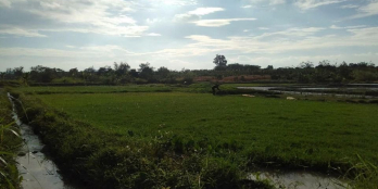 ĐẤT SÀO VIEW, THỔ CƯ: 90m mặt tiền thổ cư view ao và ruộng