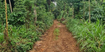 cần tiền bán nhanh 3.8 sào ngay tt eapok giá siêu rẻ